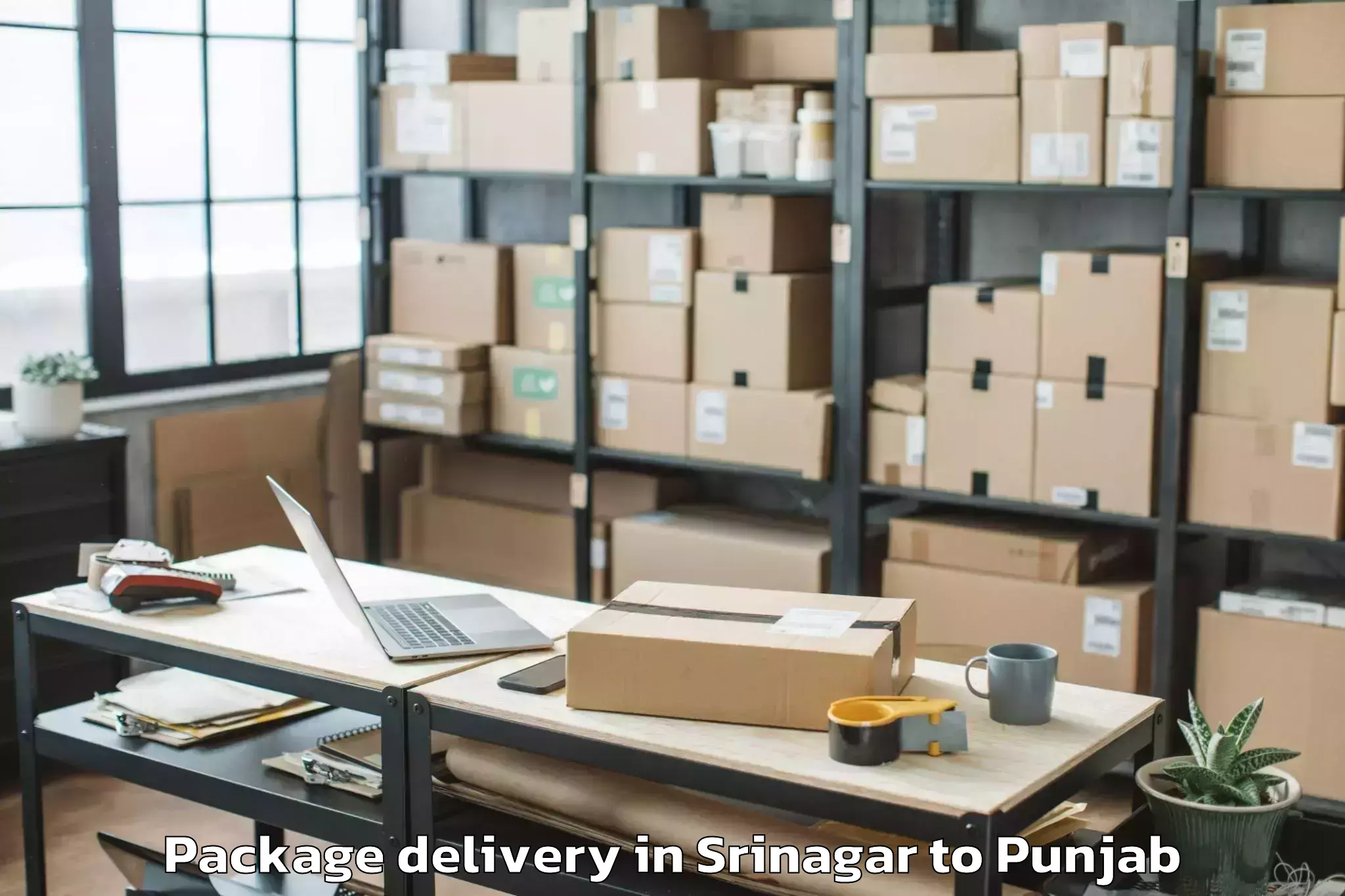 Trusted Srinagar to Sultanpur Lodhi Package Delivery